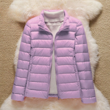 TRANSITION DOWN JACKET | PURPLE