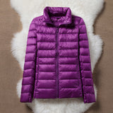 TRANSITIONAL PADDED JACKET | PURPLE