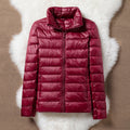 TRANSITION JACKET WITH PADDING | DARK RED