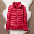 TRANSITION PADDED JACKET | RED